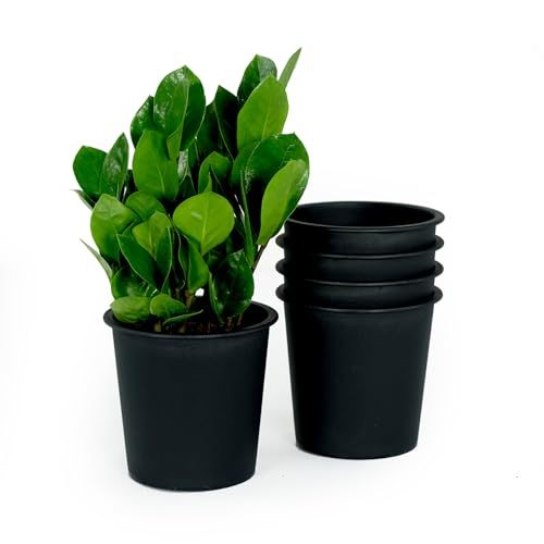 6.3' Round Nursery Plant Pot - Garden Plastic Pots with Drainage (5-Pack)