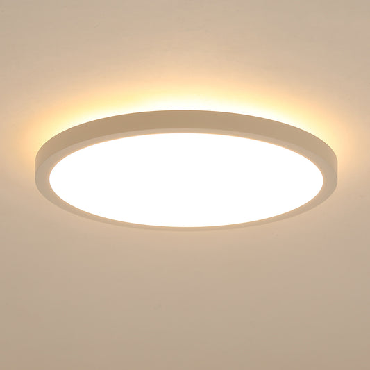 11.8 Inch Flush Mount Ceiling Light, 20W LED+Nightlight Ceiling Light Fixture for Kitchen Bedroom Living Room