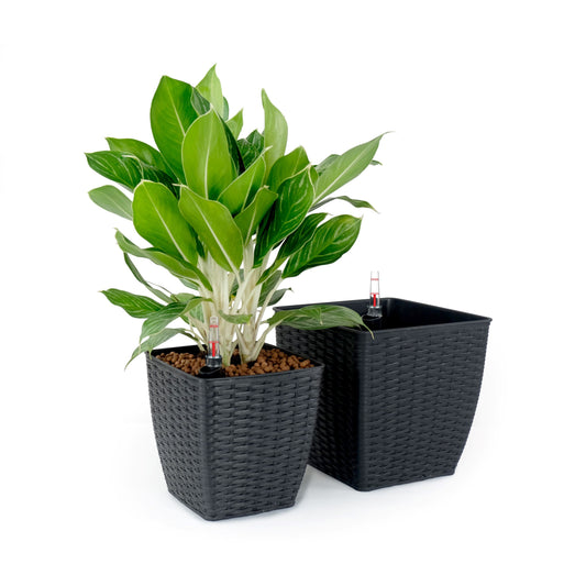 2-Pack  Self-watering Planter - Hand Woven Wicker - Thin Square - Dark Gray