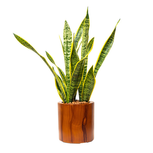 7.8 in. Dark Wood Plastic Self-watering Planter Pot