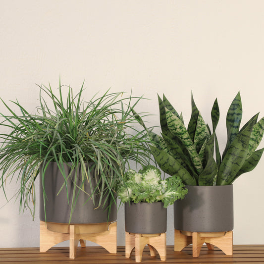 5' PLANTER W/ WOOD STAND, MATTE GRAY