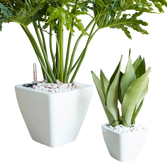 2-Pack Smart Self-watering Planter Pot for Indoor and Outdoor - White - Square Cone