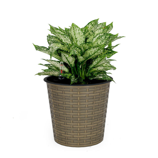 10.2' Self-watering Wicker Decor Planter for Indoor and Outdoor - Round - Natural